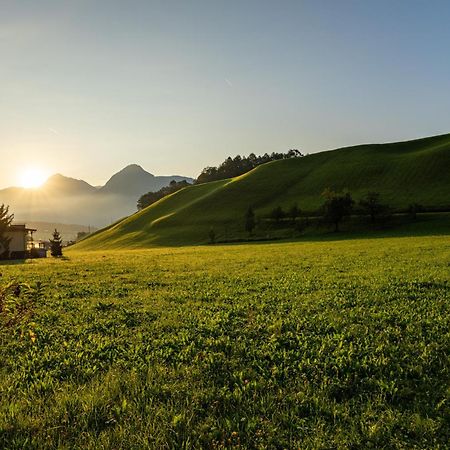 Mid Mountain Apartment Tirol Визинг Екстериор снимка
